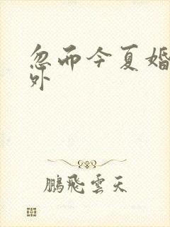 忽而今夏婚后番外