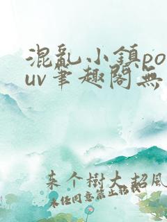 混乱小镇popuv笔趣阁无广告梨