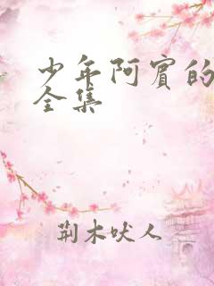 少年阿宾的故事全集