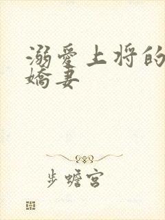 溺爱上将的宝贝娇妻