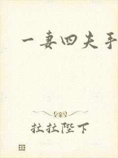 一妻四夫手记
