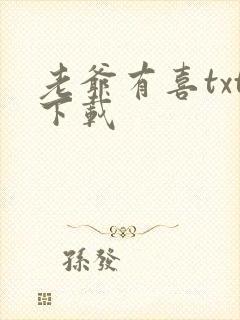 老爷有喜txt下载