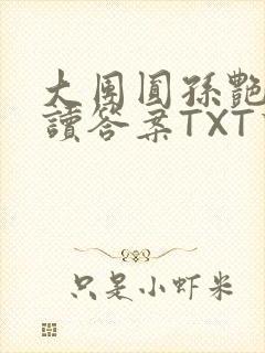 大团圆孙艳梅阅读答案TXT下载