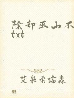 除却巫山不是云txt