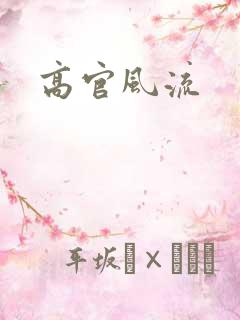 高官风流