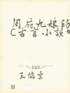 周府九娘的NPC古言小说叫什么