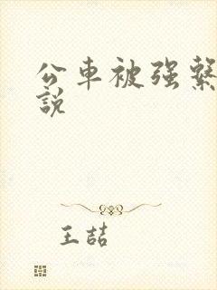 公车被强系列小说