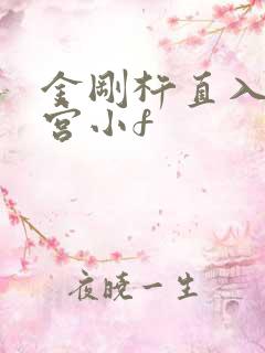 金刚杵直入莲花宫小f