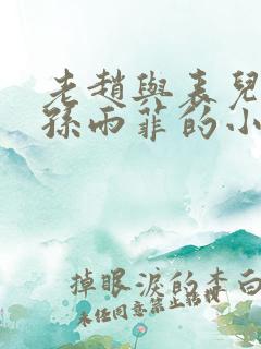 老赵与表儿媳妇孙雨菲的小说孙雨