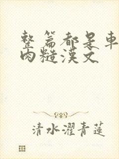 整篇都是车的多肉糙汉文