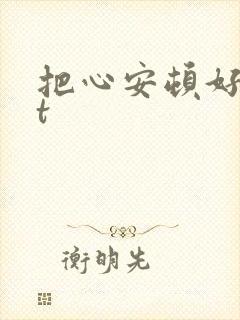 把心安顿好txt
