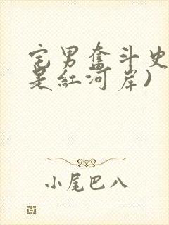 宅男奋斗史(天是红河岸)