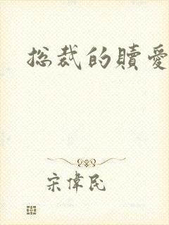 总裁的赎爱宝贝