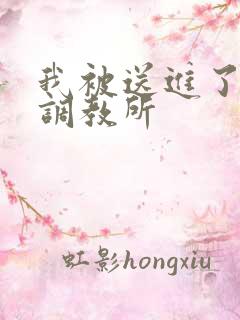 我被送进了私奴调教所