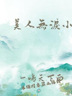 美人无泪小说