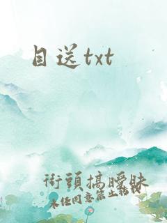 目送txt