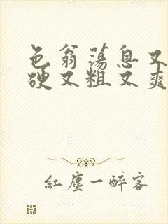 色翁荡息又大又硬又粗又爽