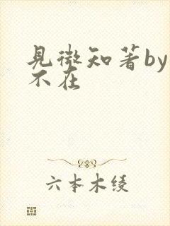 见微知著by音不在