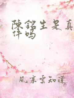 陈铭生是真实事件吗