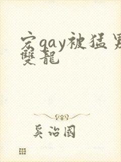 宏gay被猛男双龙