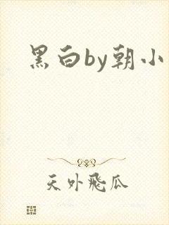 黑白by朝小诚