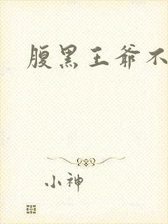 腹黑王爷不良妻