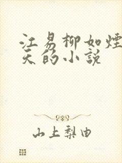 江易柳如烟秦少天的小说