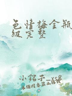 色情梅金瓶2三级完整