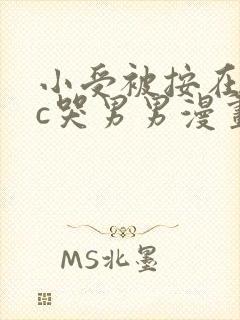 小受被按在墙上c哭男男漫画