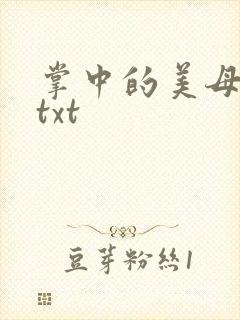 掌中的美母版主txt