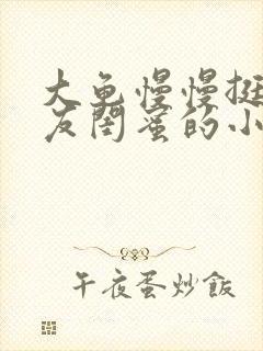 大龟慢慢挺进女友闺蜜的小说
