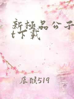 新极品公子txt下载