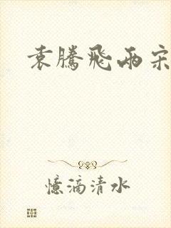 袁腾飞两宋风云