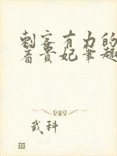 刺客有力的撞击着贵妃笔趣阁