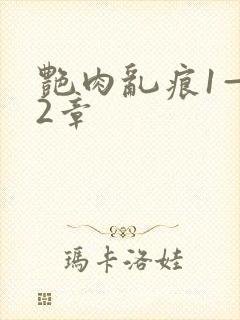 艳肉乱痕1—12章