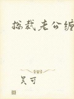 总裁老公缠上门