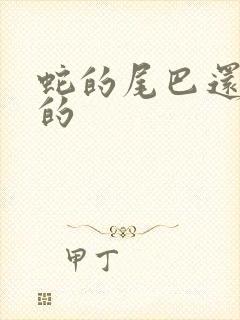 蛇的尾巴还在我的