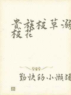 贵族校草溺爱拽校花