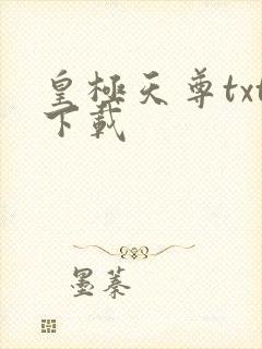 皇极天尊txt下载