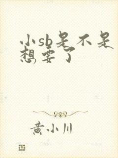 小sb是不是又想要了