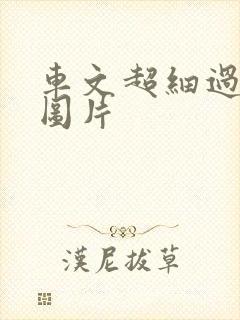 车文超细过程长图片