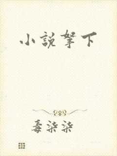 小说拿下