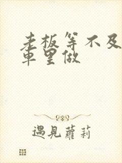 老板等不及了在车里做