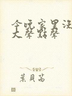 今晚家里没人叫大声点声