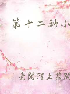 第十二秒小说