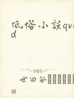 低俗小说qvod