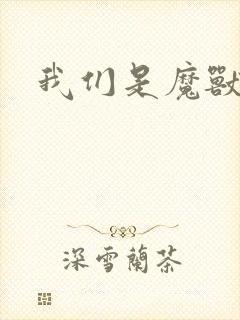 我们是魔兽玩家