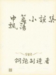 中篇小说集随风飘荡