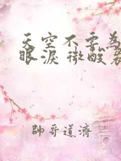 天空不要为我掉眼泪 微酸袅袅