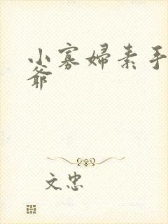 小寡妇素手擒四爷